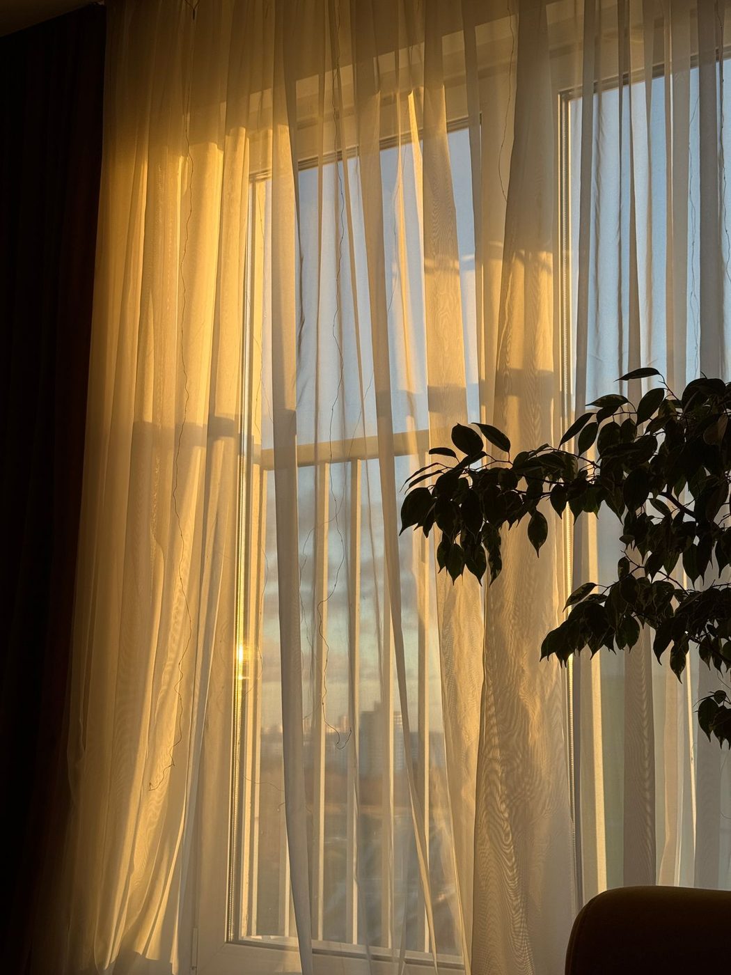 A bright, serene room filled with daylight